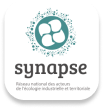 synapse