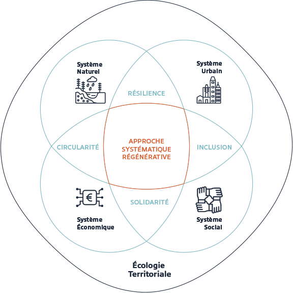 vector schema